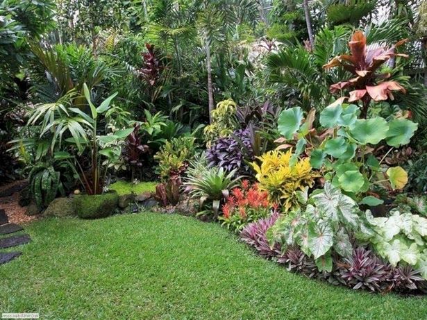 tropische-pflanzen-landschaftsbau-ideen-79_12 Tropical plants landscaping ideas