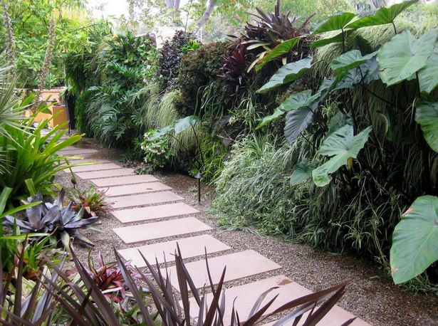 tropische-pflanzen-landschaftsbau-ideen-79_14 Tropical plants landscaping ideas