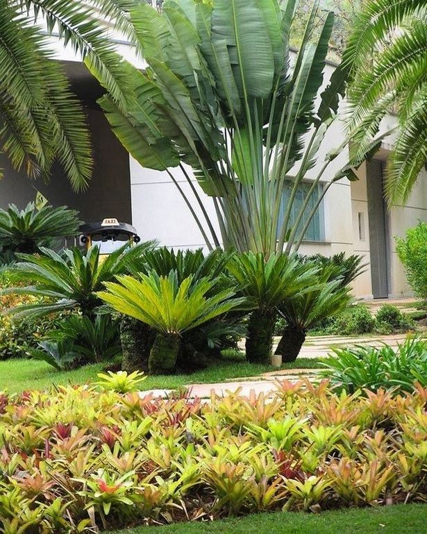 tropische-pflanzen-landschaftsbau-ideen-79_18 Tropical plants landscaping ideas