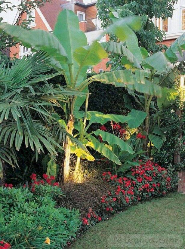 tropische-pflanzen-landschaftsbau-ideen-79_7 Tropical plants landscaping ideas