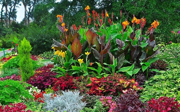 tropische-pflanzer-ideen-52 Tropical planter ideas