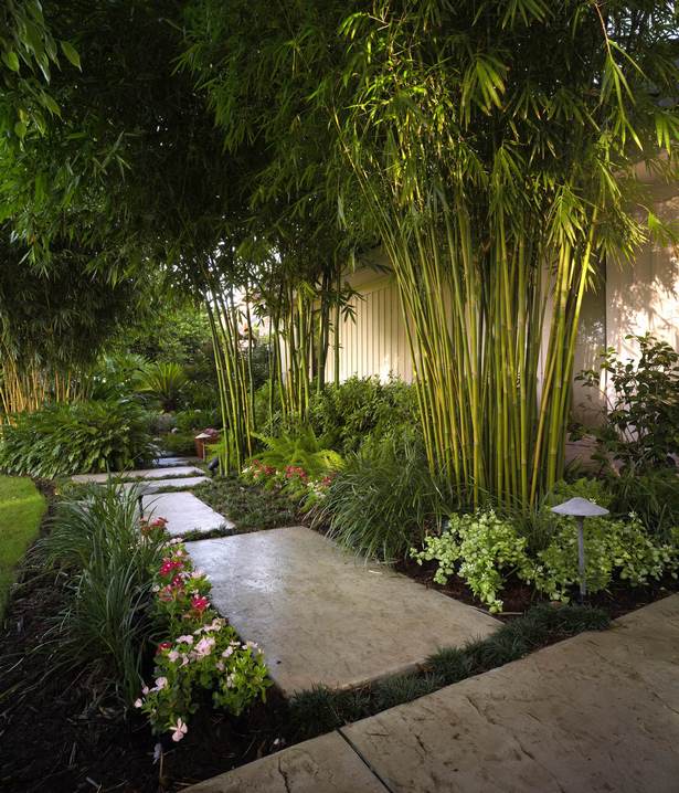 tropische-vorgarten-ideen-73_16 Tropical front yard ideas