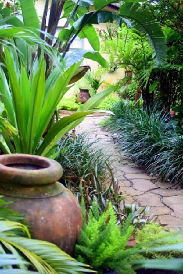 tropische-vorgarten-landschaftsbau-ideen-78 Tropical front yard landscaping ideas