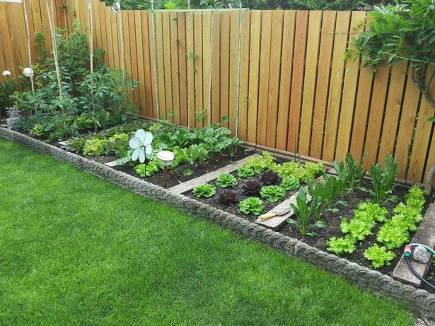 vege-garten-design-ideen-19_5 Vege garden design ideas