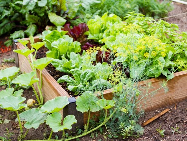 veggie-garten-layout-ideen-61_10 Veggie garden layout ideas
