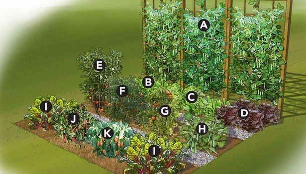 veggie-garten-layout-ideen-61_2 Veggie garden layout ideas