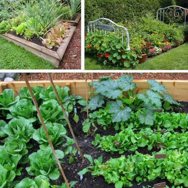 veggie-garten-layout-ideen-61_9 Veggie garden layout ideas