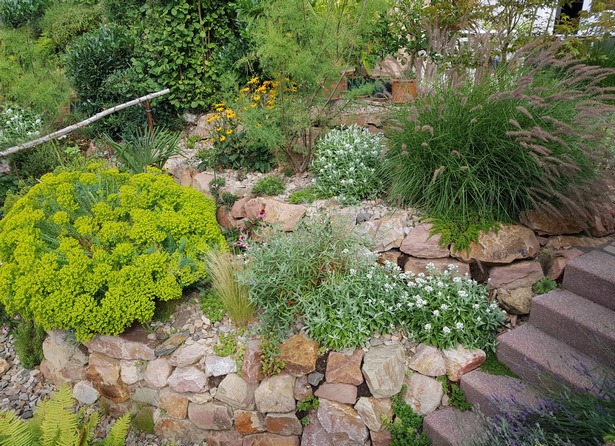 wartungsarme-steingarten-ideen-83_10 Low maintenance rock garden ideas