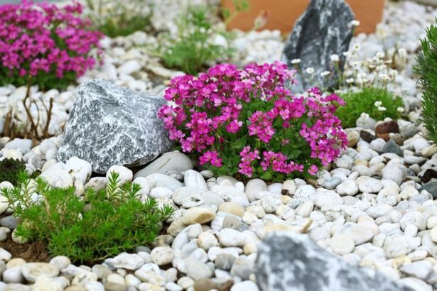 wartungsarme-steingarten-ideen-83_13 Low maintenance rock garden ideas