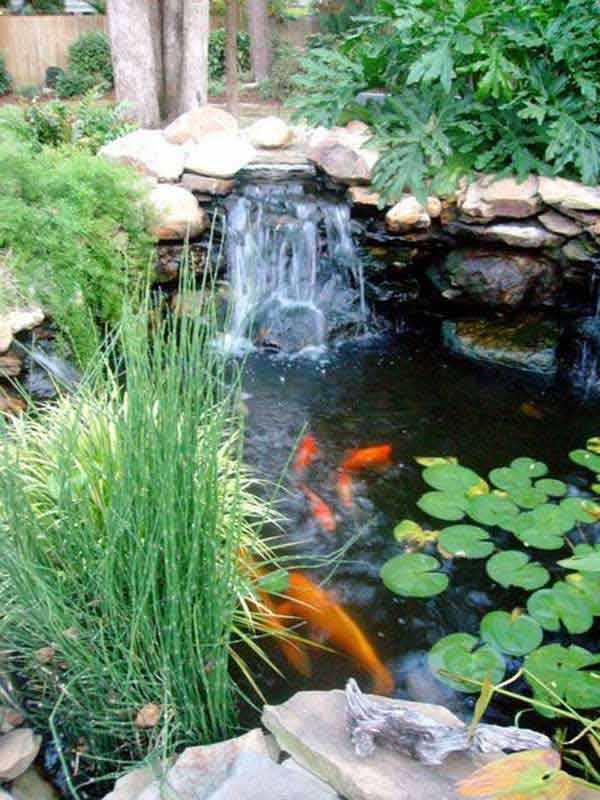 wasser-garten-design-ideen-90_7 Water garden design ideas