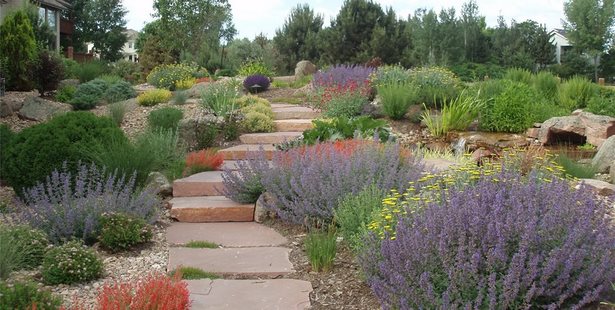 xeriscape-hinterhof-ideen-19_2 Xeriscape backyard ideas