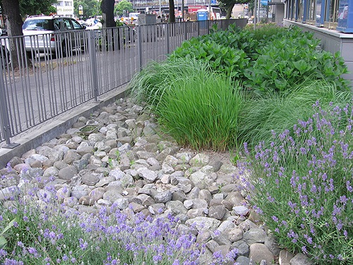 gartengestaltung-mit-steinen-und-grasern-07_17 Gartengestaltung mit steinen und gräsern