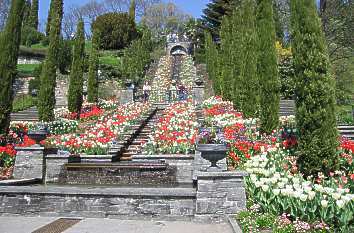 die-schonsten-privatgarten-deutschlands-59_8 Die schönsten privatgärten deutschlands