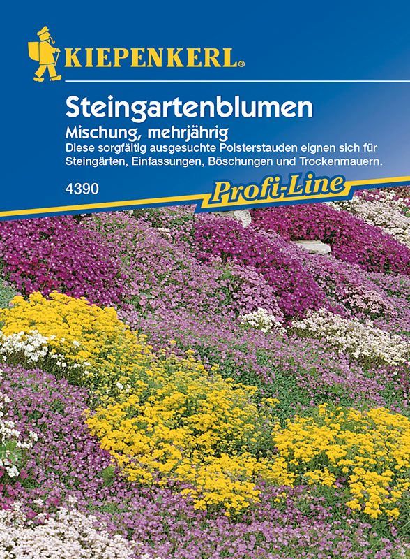 steingarten-blumen-61_5 Steingarten blumen