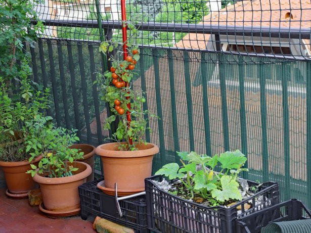 balkon-gemusegarten-ideen-13 Balkon Gemüsegarten Ideen