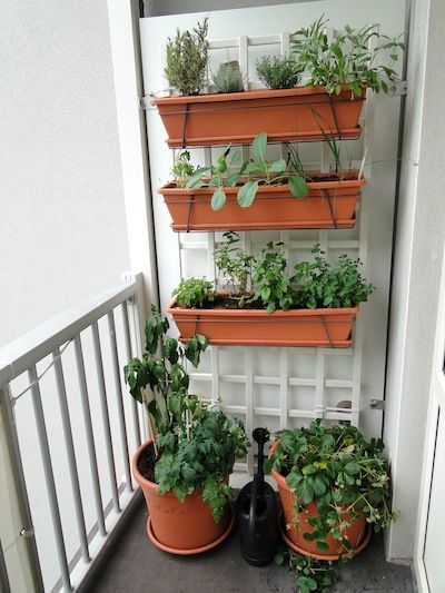 balkon-gemusegarten-ideen-13_10 Balkon Gemüsegarten Ideen