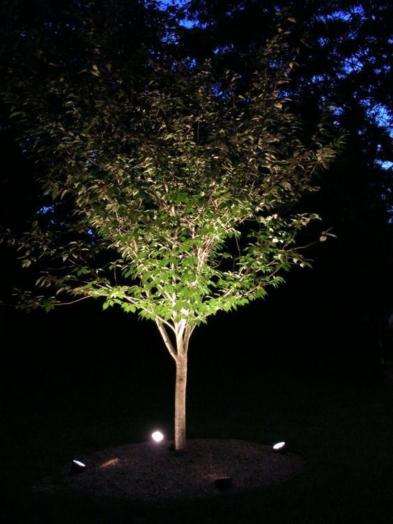 baum-beleuchtung-ideen-11_14 Baum-Beleuchtung-Ideen