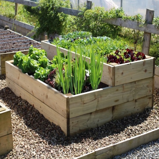 kleine-veggie-garten-ideen-50_17 Kleine veggie-Garten-Ideen