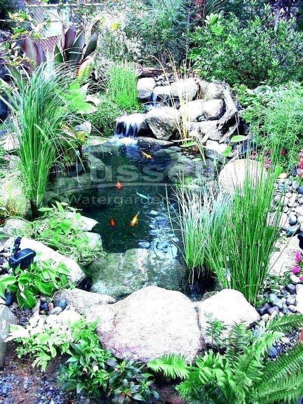 Kleinen Teich Ideen