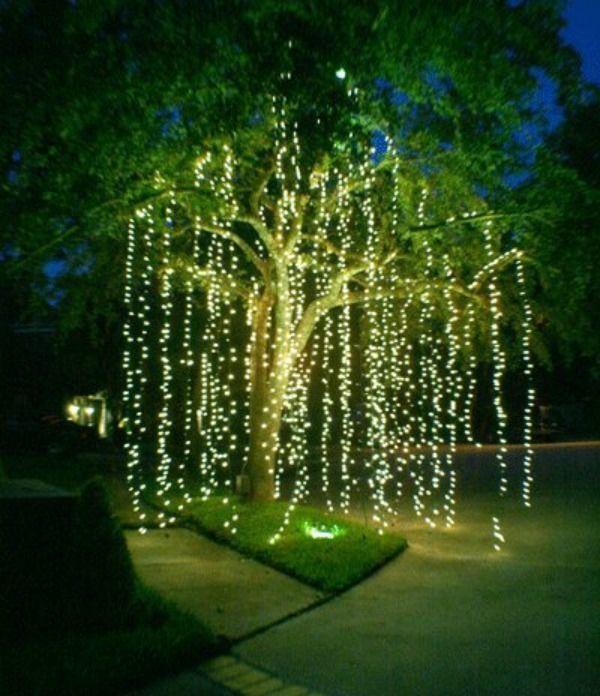 outdoor-baum-beleuchtung-ideen-77_3 Outdoor Baum-Beleuchtung-Ideen