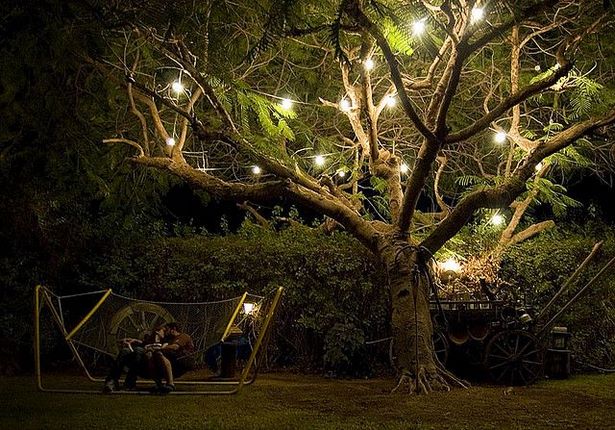 outdoor-baum-beleuchtung-ideen-77_7 Outdoor Baum-Beleuchtung-Ideen