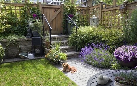 pflanzideen-fur-kleine-garten-16_8 Pflanzideen für kleine Gärten