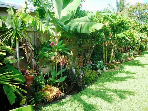 tropische-gartengestaltung-95_6 Tropische Gartengestaltung