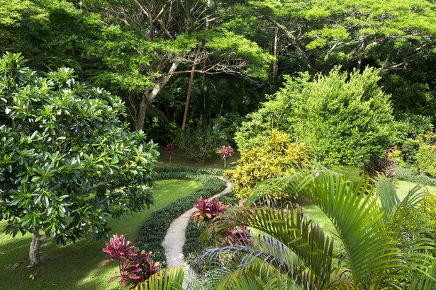 tropische-landschaftsbau-ideen-38_17 Tropische Landschaftsbau-Ideen