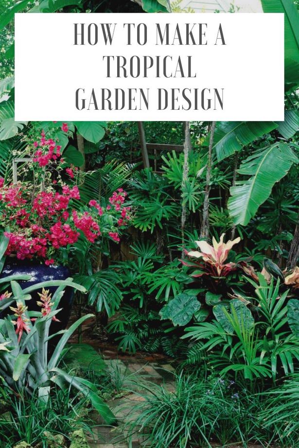 tropischen-garten-design-ideen-59_2 Tropischen Garten design-Ideen