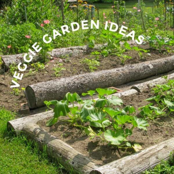 veggie-garten-ideen-05_10 Veggie-Garten-Ideen