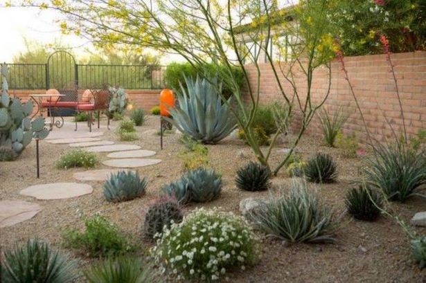 Wüste Hinterhof Landschaftsbau Ideen