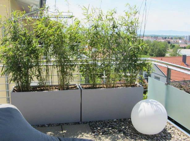 terrassen-sichtschutz-mit-pflanzen-70_18 Terrassen sichtschutz mit pflanzen