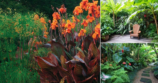 garten-mit-tropischen-pflanzen-76_2 Garten mit tropischen Pflanzen
