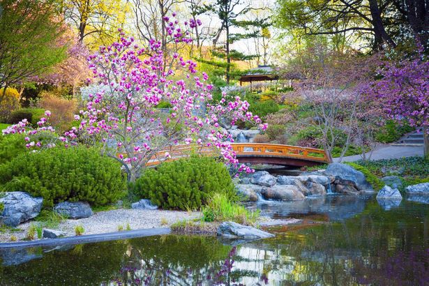 japanisch-inspirierte-garten-85 Japanisch inspirierte Gärten
