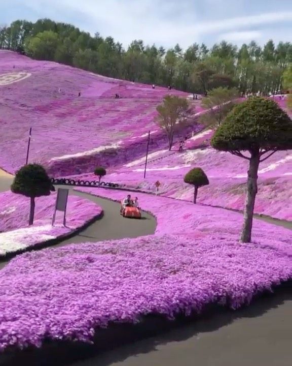 japanischer-blumengarten-51 Japanischer Blumengarten