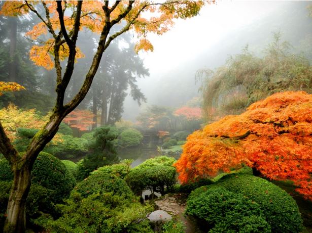 japanischer-blumengarten-51_6 Japanischer Blumengarten