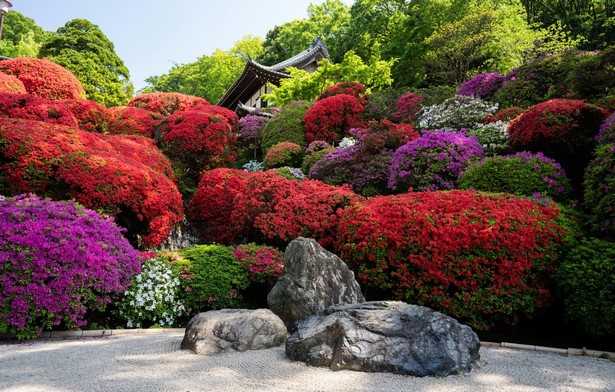 japanischer-blumengarten-51_7 Japanischer Blumengarten