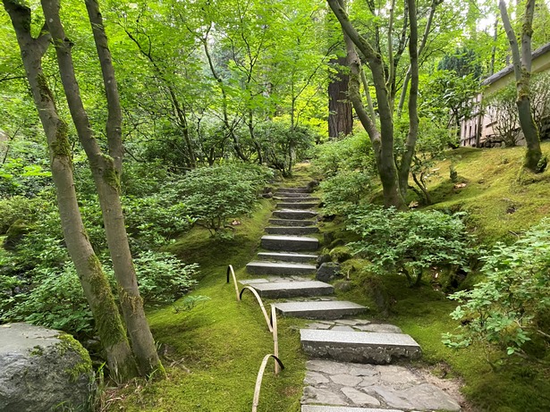 japanischer-garten-91 Japanischer Garten