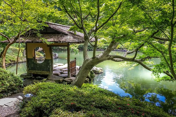 japanischer-meditationsgarten-41_18 Japanischer Meditationsgarten
