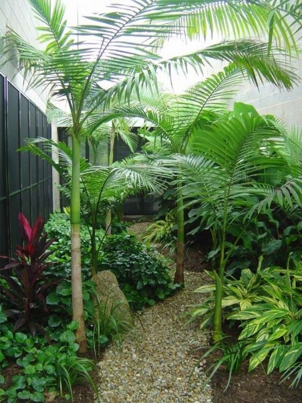 kleine-tropische-garten-76_13 Kleine tropische Gärten