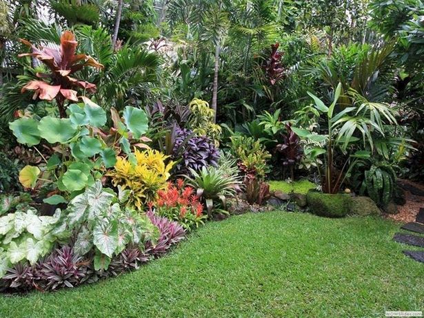 tropische-gartengestaltung-79_19 Tropische Gartengestaltung