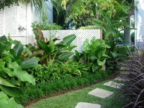 tropische-landschaftspflanzen-21_7 Tropische Landschaftspflanzen