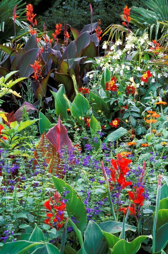 tropischer-garten-bilder-35_4 Tropischer Garten Bilder