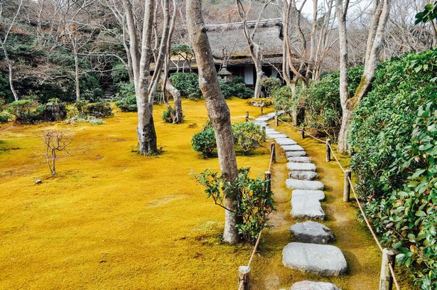 wunderschone-japanische-garten-85_6 Wunderschöne japanische Gärten