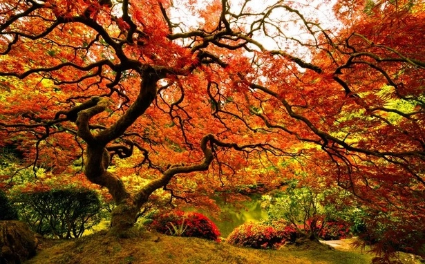 die-besten-japanischen-garten-der-welt-03-1 Die besten japanischen Gärten der Welt