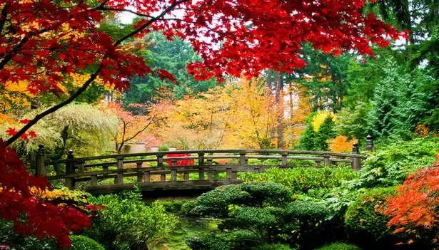 die-besten-japanischen-garten-der-welt-03_14-7 Die besten japanischen Gärten der Welt