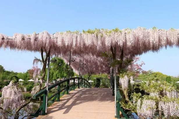 die-besten-japanischen-garten-der-welt-03_2-12 Die besten japanischen Gärten der Welt