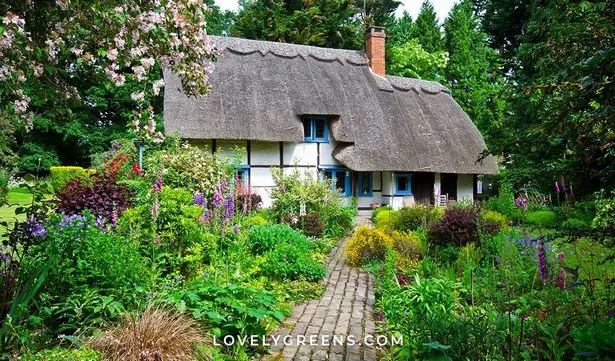 einen-englischen-cottage-garten-anlegen-30_17-9 Einen englischen Cottage-Garten anlegen