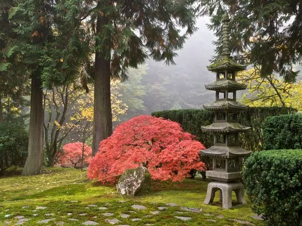 erstaunliche-japanische-garten-46_2-12 Erstaunliche japanische Gärten