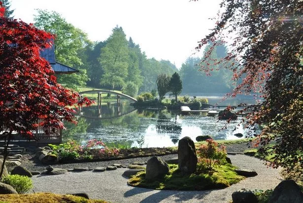 erstaunliche-japanische-garten-46_3-13 Erstaunliche japanische Gärten